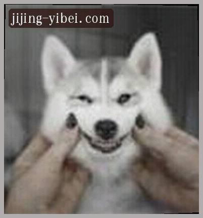 钱丽